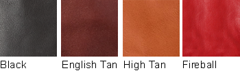 dents15_1529col.jpg