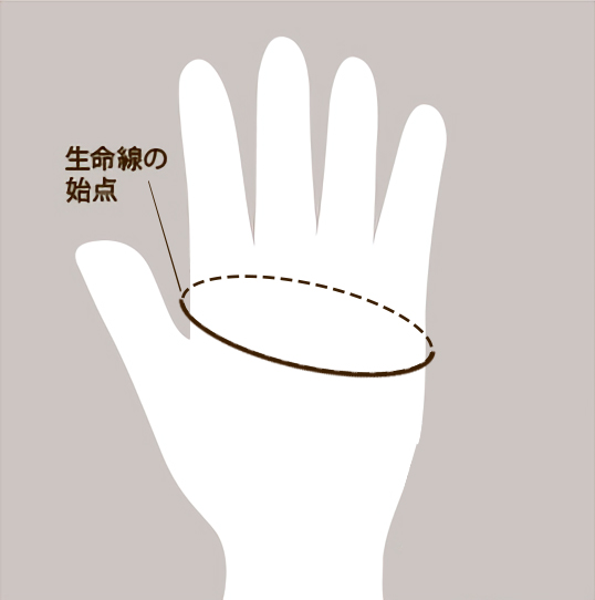 DENTSサイズガイド
